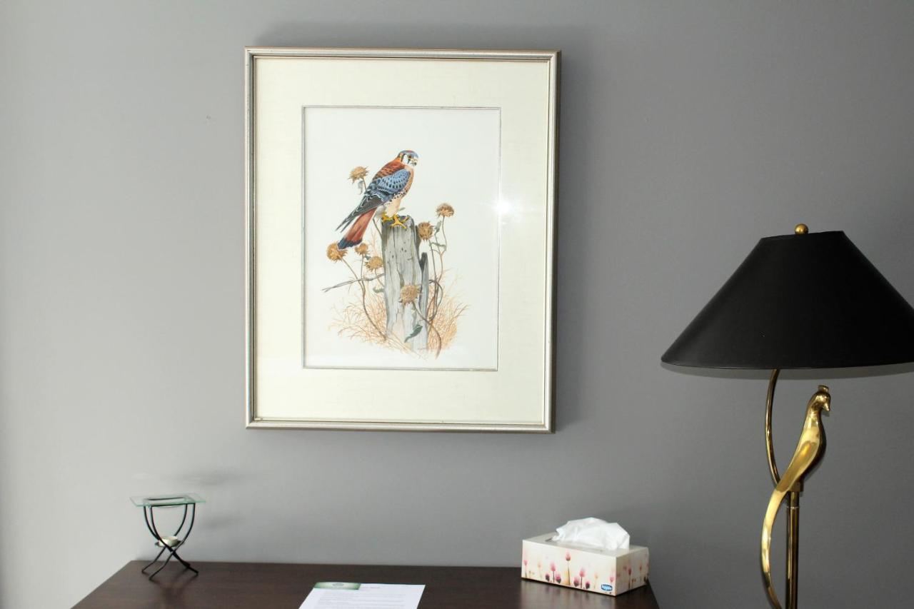 Tailwinds B&B Erin Buitenkant foto